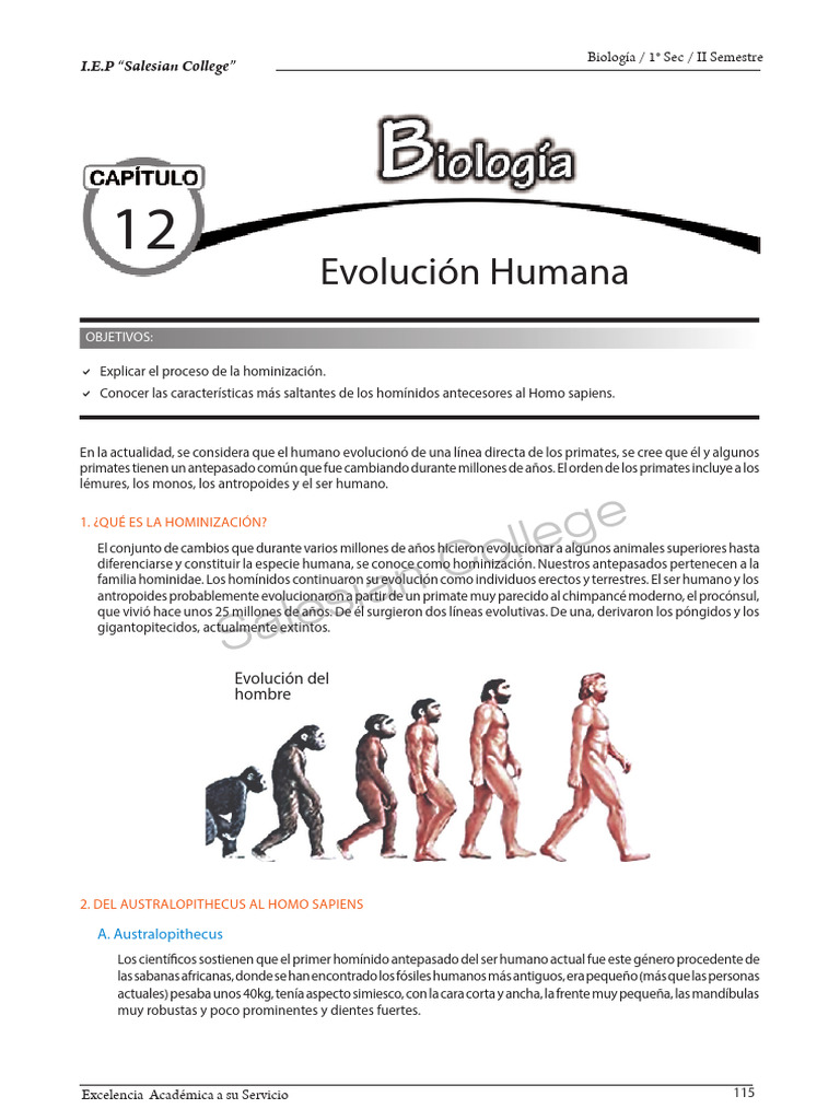 Durante años nos enseñaron que la evolución humana se detuvo, que todas las  diferencias entre sociedades son solo culturales y que mirar la biología  era peligroso. Pero la ciencia no avanza para ..., image size:768x1024