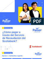 Manual Pagos Pamer-Colegios Scotiabank FE 2023