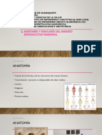 Anatomia y Fisiología Del Aparato Genital Femenino - C