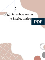 Clase Derechos Reales e Intelectuales