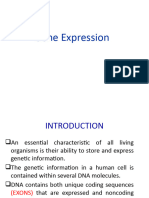 Gene Expression