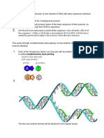 DNA Replication - IB Biology SL Grade 11