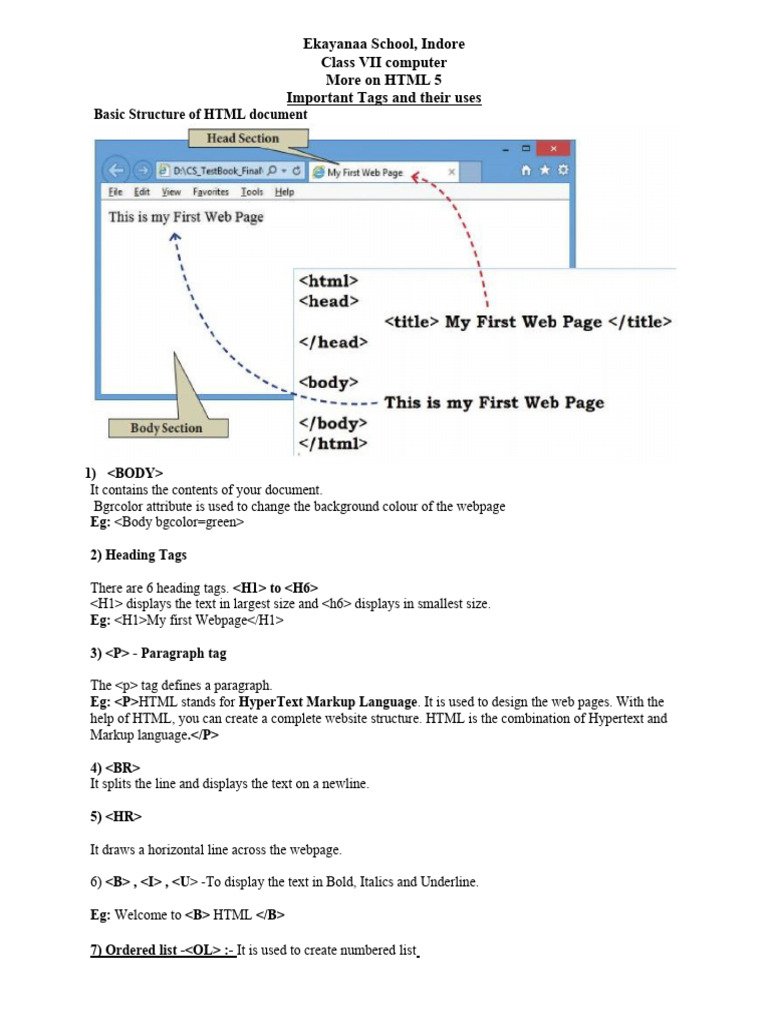 7 HTML Notes | PDF