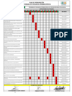 Cronograma PVE Psicosocial 2021