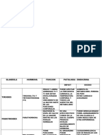 Sistema Endocrino 2