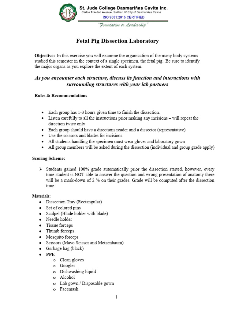 Fetal Pig Dissection Labpdf | PDF | Heart | Gastrointestinal Tract