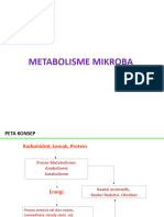 Bioenergetik MIKROBA