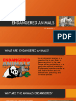 Endangered Animals