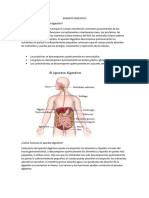 Aparato Digestivo 2