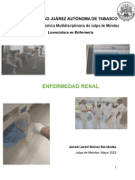 Enfermedad Renal