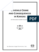 Collateral Consequences Booklet - Final