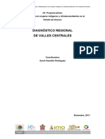 U2b Diagnostico Valles Centrales OAX - Indigenas Afrodesc