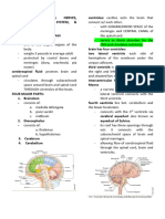 Anaphy NS-BrainCranialNerves