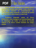 os cinco elementos(Roberta) - 3 MODULO