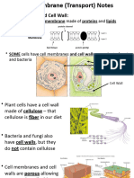 Cell Transport and Plant and Animal Cell Power Point 2013