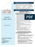 Curriculum Ingeniero David Mercado