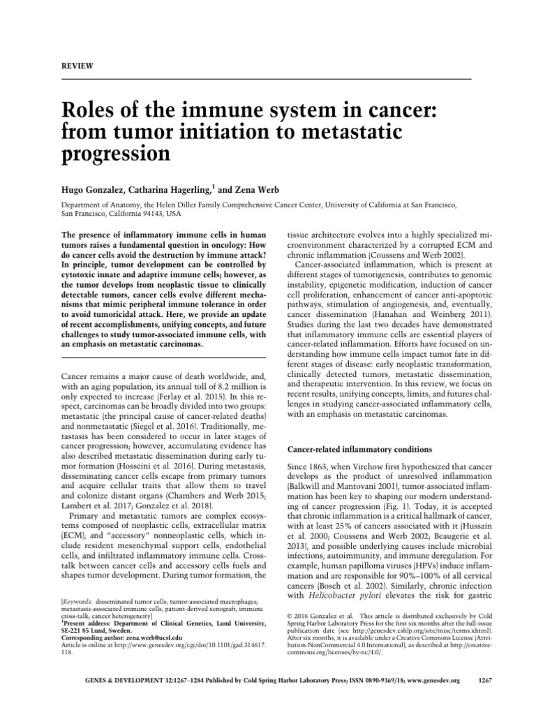 Immune System In Detail