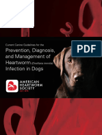 Canine Heartworm Guidelines