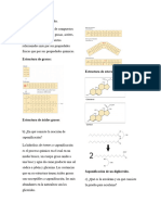 Conocimientos y Previos y Diagrama Lípidos