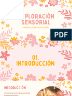 Exploración Sensorial