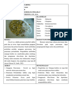 Mikroper - Riski Aditia - 2204111616 - MSP B