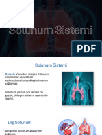 Solunum Sistemi PDF
