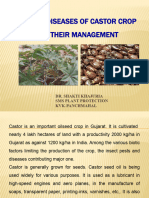 Pests of Castor Crop