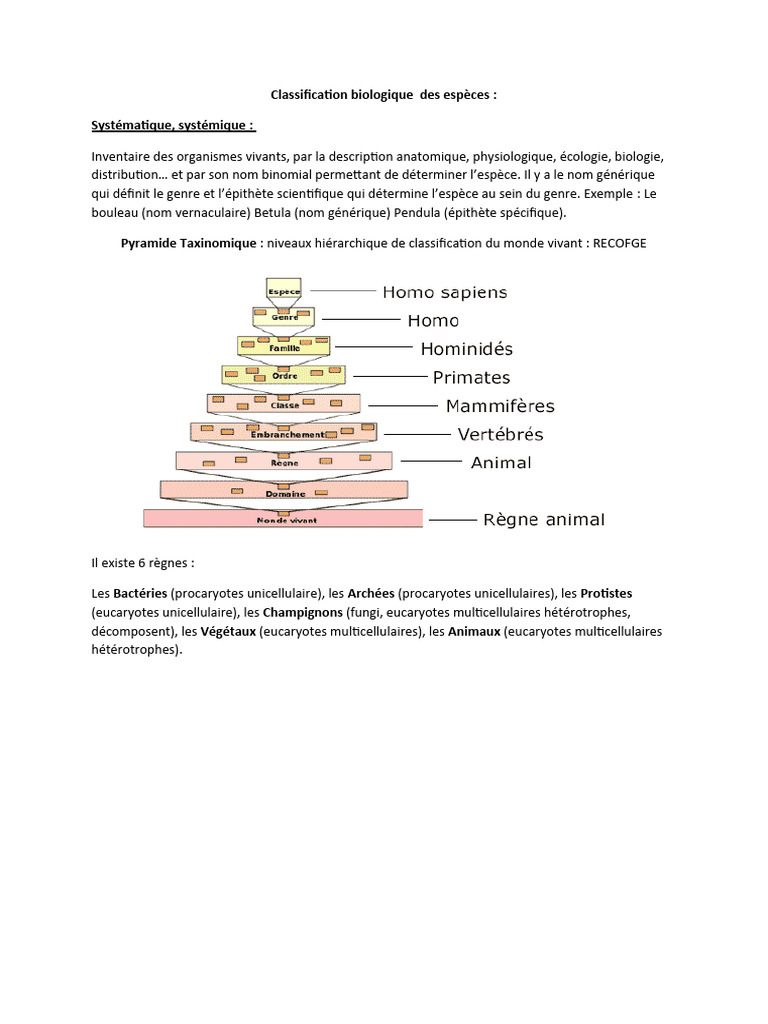 Classification des 6 règnes vivants | PDF | La nature | Biologie