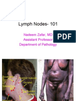 Lymph Nodes - 101