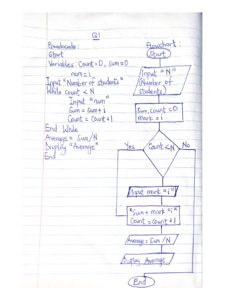 Count Count | PDF