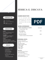 Professional CV Resume