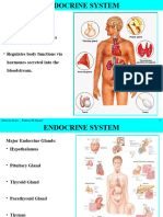 Endocrine