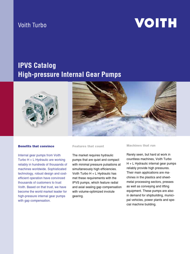 Voith_IPVS | PDF | Pump | Gear