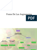 Clasificación Frutos de Angiosperma