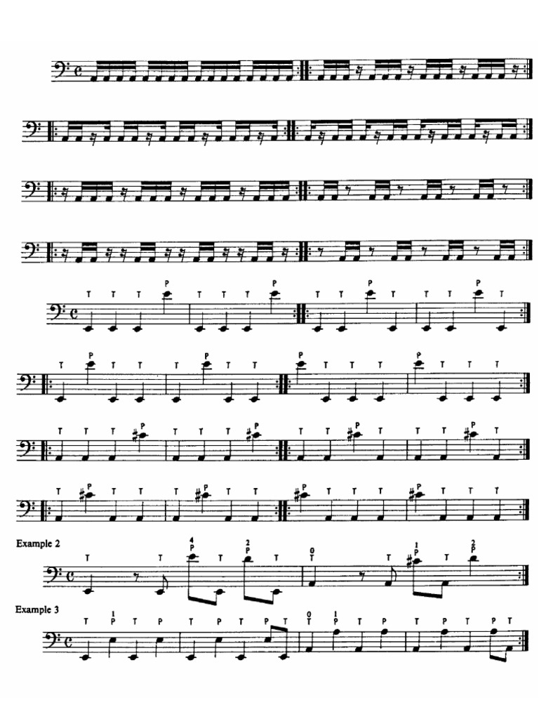 PG 12 Exercicio Slap | PDF