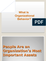 Introduction of Organisational Behaviour