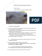 Estudo Dirigido de N2 de Anatomia Dos Animais Domésticos II