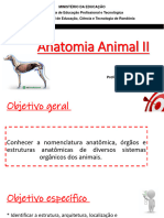 Anatomia Animal I