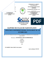 Rapport de Stage 3em Année