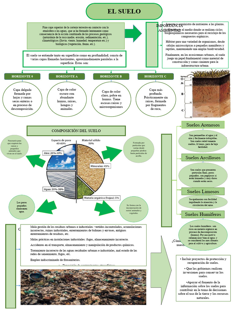 Importancia del Suelo para la Vida | PDF | Suelo | Ciencias de la Tierra