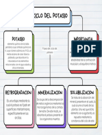 Mapa Del Ciclo Del Potasio