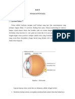 Oklusi Vena Retina Sentralis