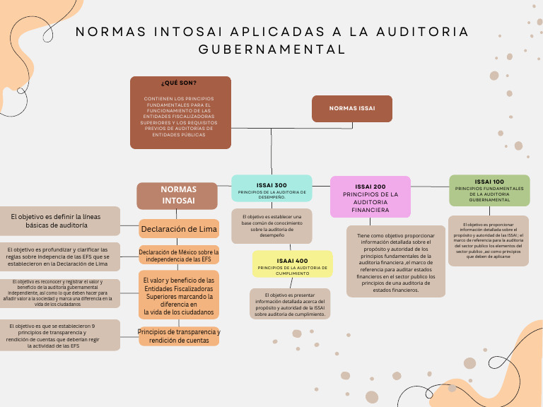 Principios de las Normas ISSAI | PDF | Auditoría | Negocios económicos