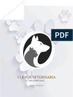 CLINICA VETERINARIA-3ro-1