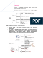 Parcial Bases 2