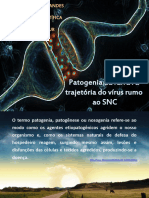 Patogenia Da Raiva: A Trajetória Do Vírus Rumo Ao SNC