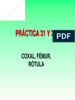 PRÁCTICA 7 (Coxal, Fémur, Rótula) - 2
