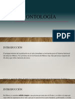 Gerontologia 2024