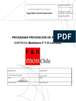 Programa Prevención de Riesgos