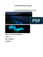 Bioluminescence in Flora and Fauna and Its Utility